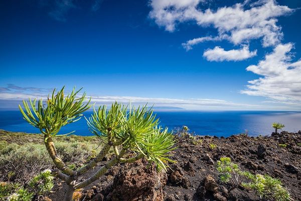 Canary Islands-La Palma Island-Fuencaliente de la Palma-Punta de Fuencaliente-volcanic landscape